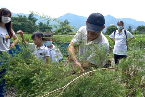 上庄休閒農場 | 茶樹精油體驗